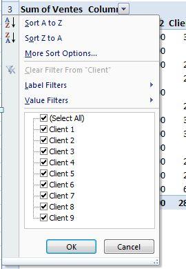 Tableaux croisés dynamiques dans Excel: La base