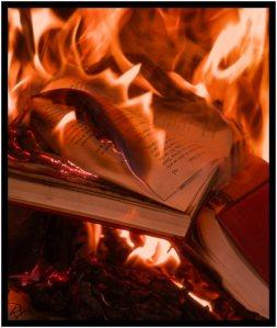 Burning_books « Alors, on y va ou pas? »