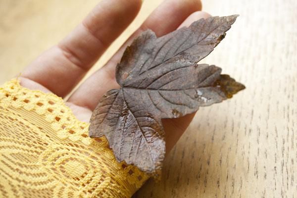 A vos agendas A vos agendas