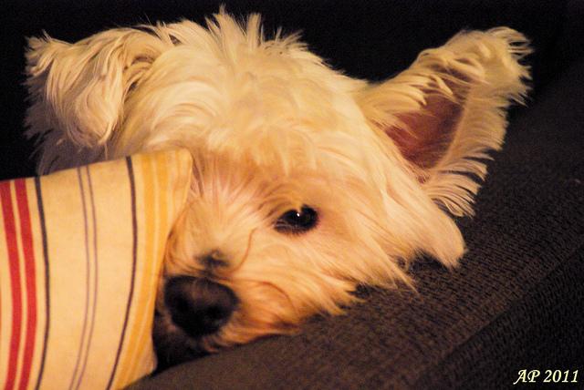 Détente / Relaxation Laissez-moi tranquille! / Leave me alone!