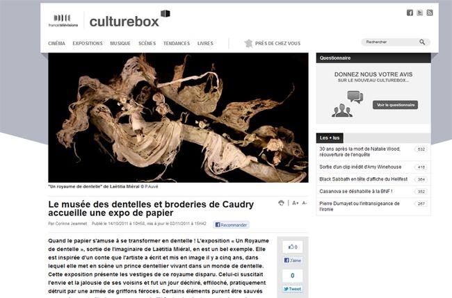 Article-culture-box