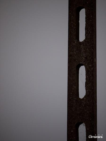 Campagne émergeant de la brume : série 3 JPEG - 70.8 ko