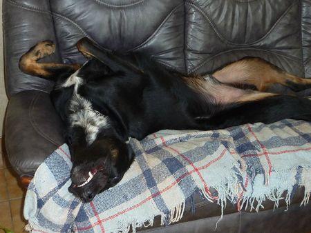 J'adore faire les poubelles P1100406