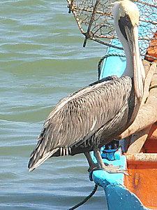 Nelly et Lorine à Tival tival octobre 270