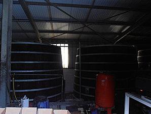 Nelly et Lorine à Tival oct nov tival 028