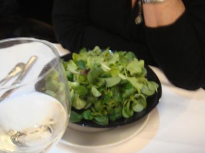 20100129 brasserie lutecia 01 salade verte (ChrisoScope) 20100129 brasserie lutecia 01 salade verte Brasserie du Lutetia : pas pour moi (ChrisoScope)