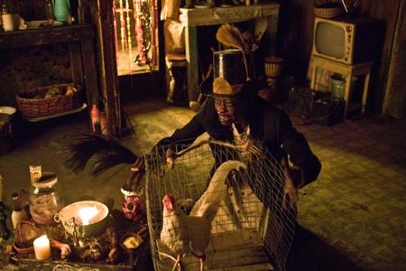 Rhum Express : 3 posters + 17 vidéos + 62 photos rhum-express