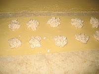 Gratin de ravioles au saumon frais Gratin de ravioles au saumon frais