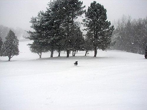 Début des séries DSC09909-1