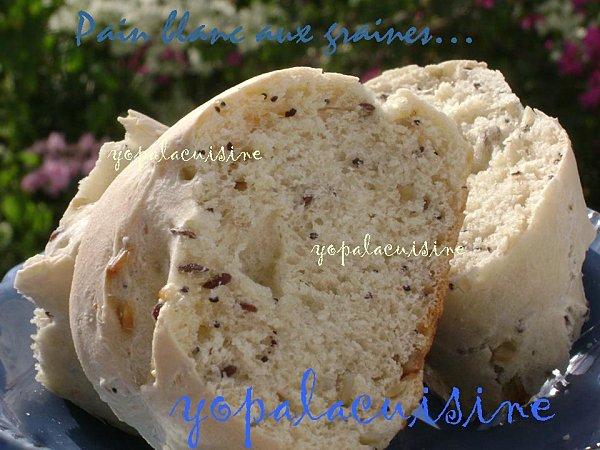 Je Ne Peux Plus Me Passer De Ces Odeurs... Pain Blanc Aux Graines Diapositive3