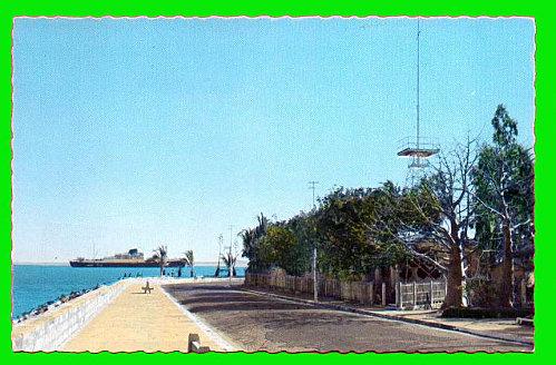 null 959_001-copie-1.jpg