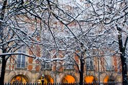 Sur la Place Monge 2010 (c) Maxime Bessieres Place Monge 2010 : Offrir un stage photo