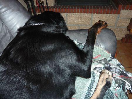 J'aime bien regarder la télé P1100436