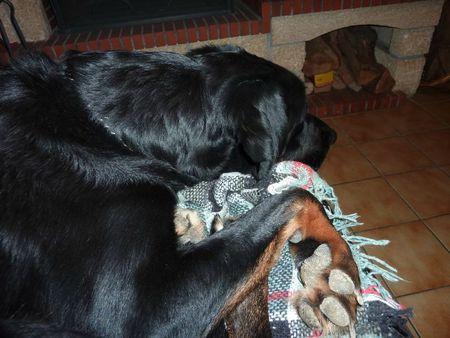 J'aime bien regarder la télé P1100429