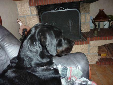 J'aime bien regarder la télé P1100434