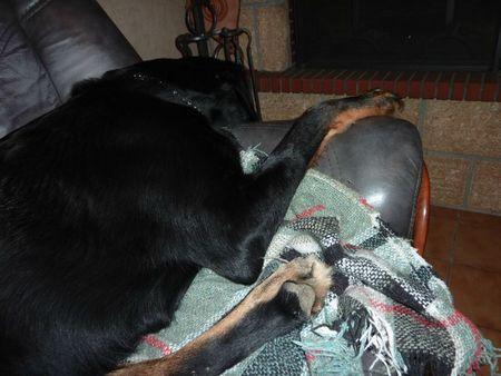 J'aime bien regarder la télé P1100437