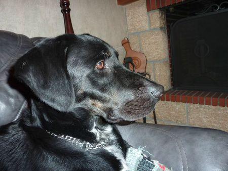 J'aime bien regarder la télé P1100435