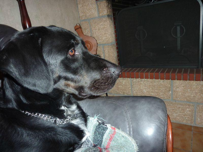 J'aime bien regarder la télé P1100431