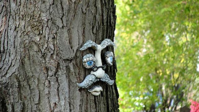 Les arbres veulent être des humains à tout prix !!! DSC05044