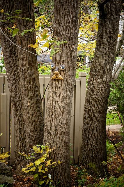Les arbres veulent être des humains à tout prix !!! DSC05036