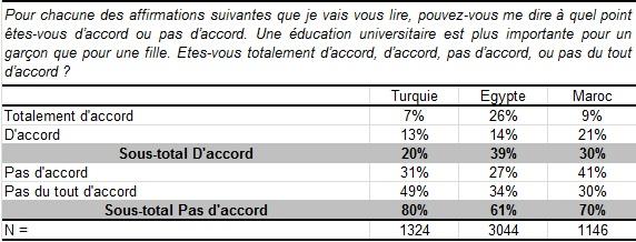 6 Ce que veulent les pays arabes ?