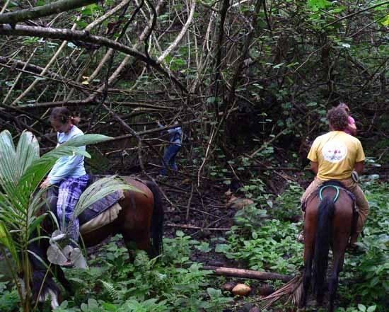 Balade à cheval dans la vallée de Taiohae, suite undefined