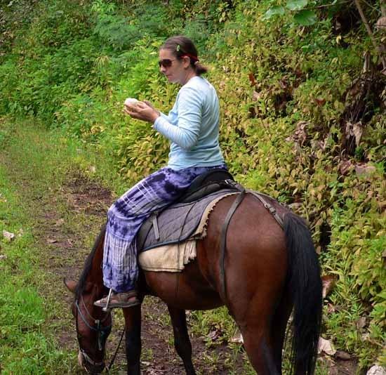 Balade à cheval dans la vallée de Taiohae, suite undefined
