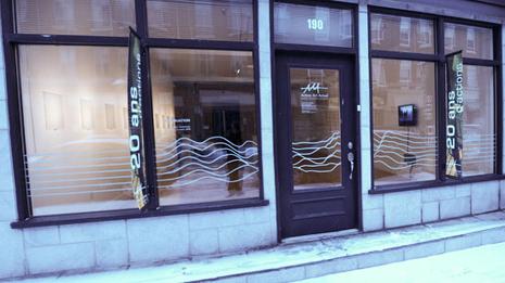 Insinuation (Action art actuel, Canada) blog-20080222-panorama-sans-titre1.jpg