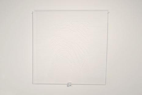 Insinuation (Action art actuel, Canada) blog__ok-20080220-p2200829-copie.jpg