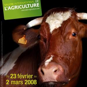 Marguerite