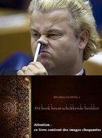 Geert Wilders: irresponsable, provocateur, inculte crétin
