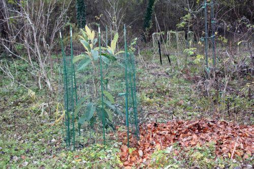 Le temps de la chasse nature
