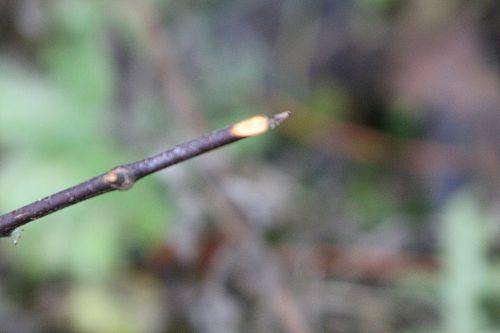 Le temps de la chasse nature