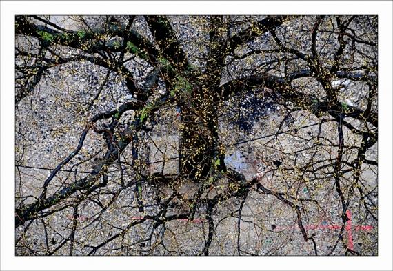 Cruciforme Croix, Andrès Serrano, crucifix, Christ, Roland Barthes, Soeur Jeanne Myriam