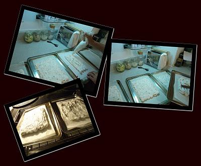 Daring Bakers Novembre 2011 - Sans Rival Daring Bakers Novembre 2011 - Sans Rival