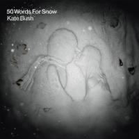 Kate Bush ‘ 50 Words For Snow