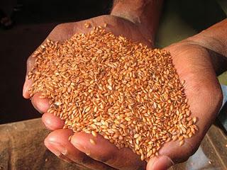 agora du je dis agora du je dis