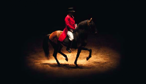 Du grand art et de belles valeurs chez les Gruss... critique empreintes cirque gruss