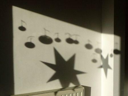 Michokos en papillotes P1160053