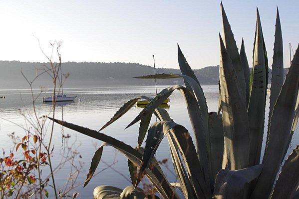 Fin novembre sous le soleil stchamas2.jpg