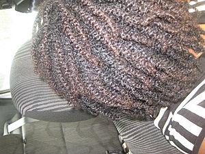 Vanilles du jour twists-072.jpg