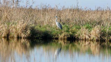 Au fil de l'eau #2 P1150918
