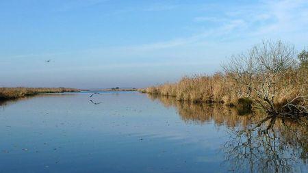 Au fil de l'eau #2 P1150915