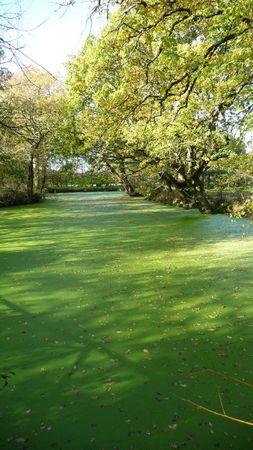 Au fil de l'eau #2 P1150945