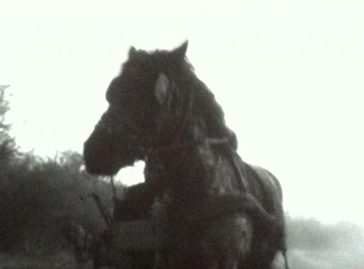 Au-delà de l'effondrement, 37 : Le cheval de Turin de Béla Tarr Au-delà de l'effondrement, 37 : Le cheval de Turin de Béla Tarr