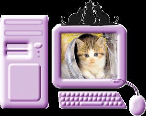 chaton/chat