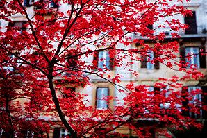 Du rouge et du blanc pour les mardis arc-en-ciel tumblr_lrkwtx7mm41qh9408o1_500.jpg
