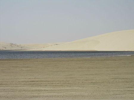 Petits-fours ou pas petits-fours? Question existentielle pour le temps de l'Avent buche et désert 158