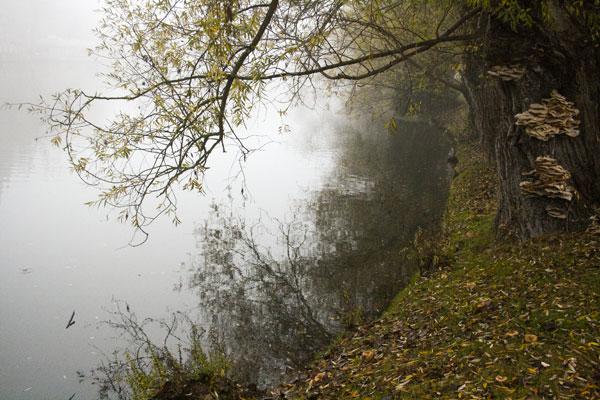 7 jours- 7 photos - 7 days 7 jours- 7 photos - 7 days