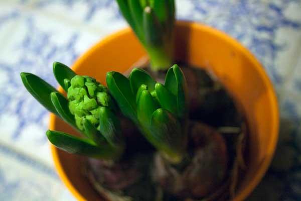 7 jours- 7 photos - 7 days 7 jours- 7 photos - 7 days